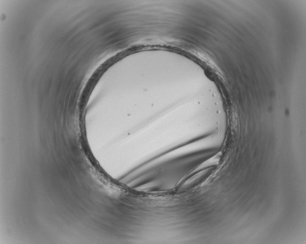 X0000070400976200607072240