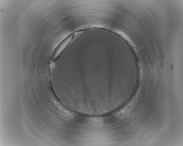 X0000070400977200607072240