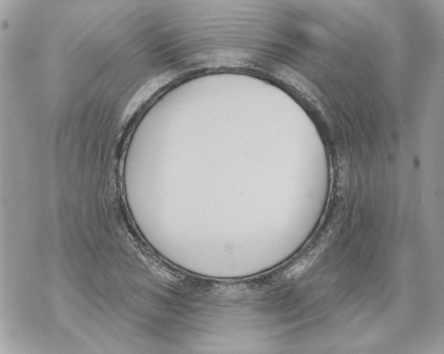 X0000070400978200607072240