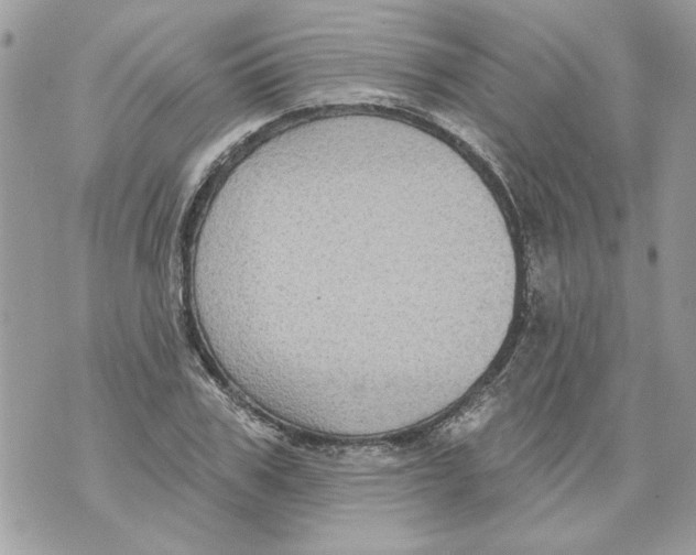 X0000070400979200607072240