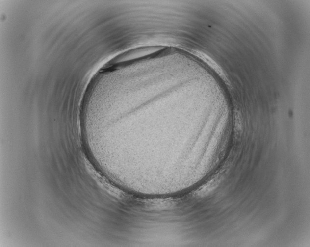 X0000070400980200607072240