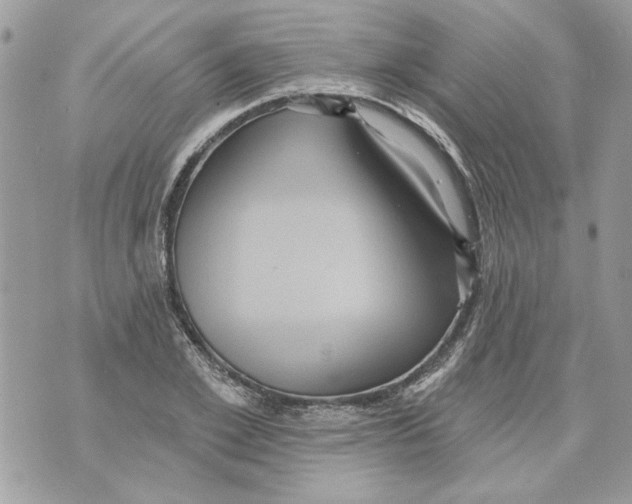 X0000070400981200607072240