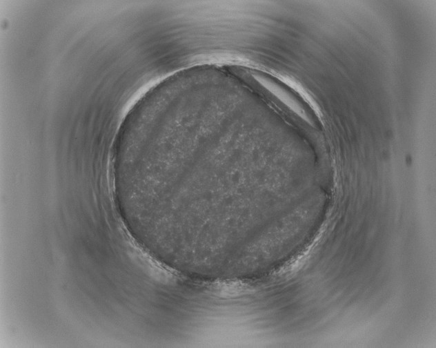 X0000070400983200607072240