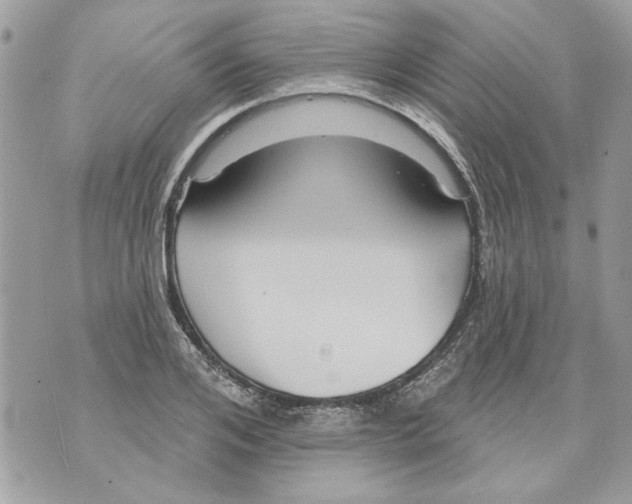 X0000070400984200607072240