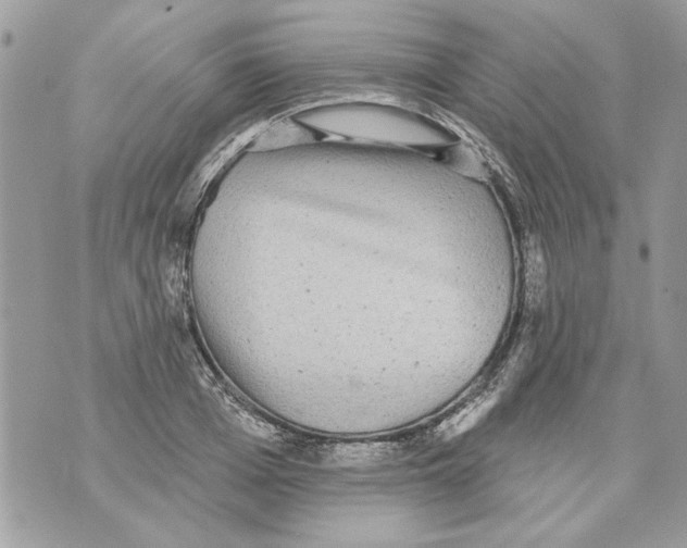 X0000070400985200607072240