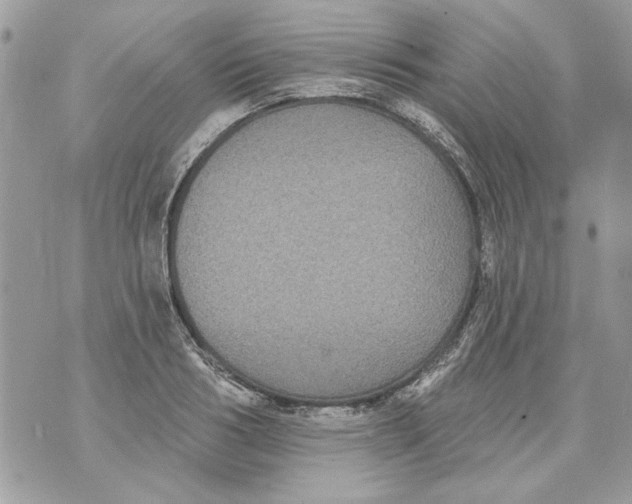 X0000070400986200607072240