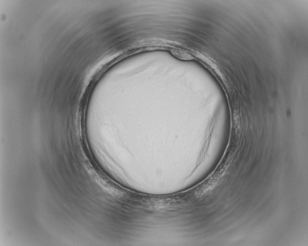 X0000070400987200607072240