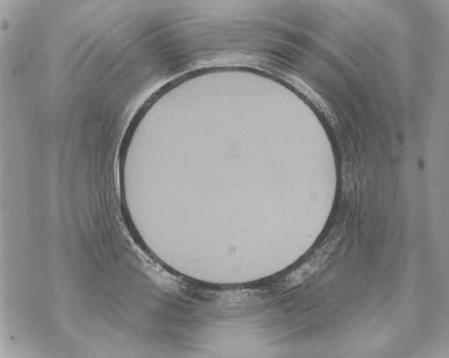 X0000070400988200607072240