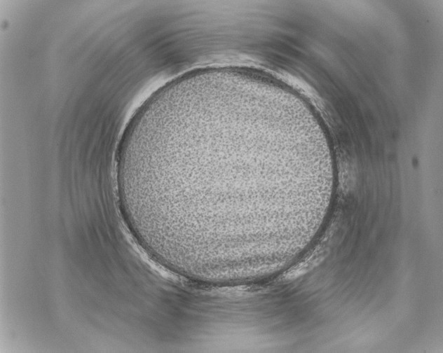 X0000070400990200607072240