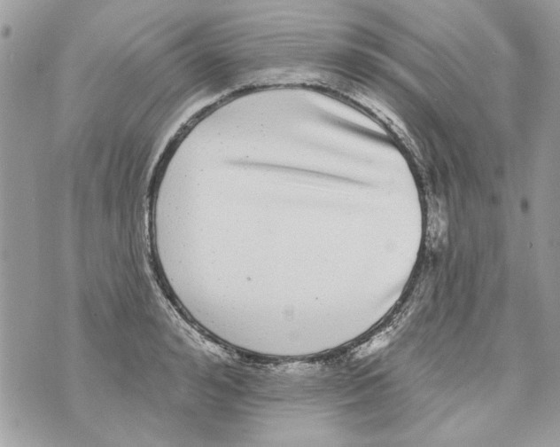 X0000070400992200607072240