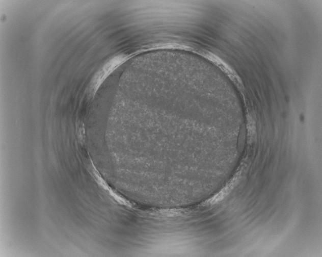 X0000070400993200607072240