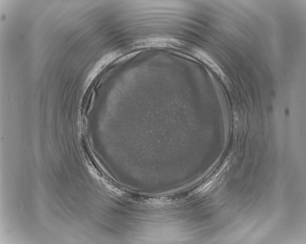 X0000070400994200607072240