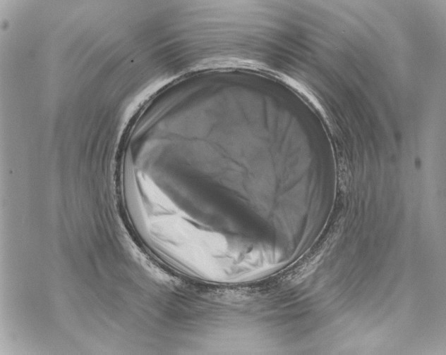 X0000070400995200607072239