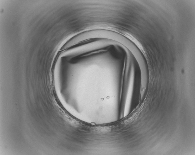 X0000070400996200607072239