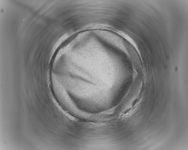 X0000070400997200607072239