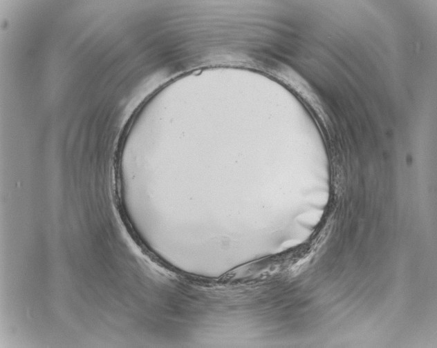 X0000070400999200607072239