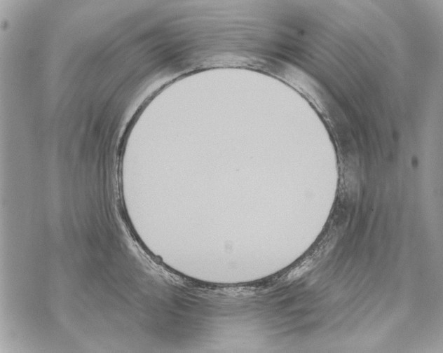 X0000070401000200607072239