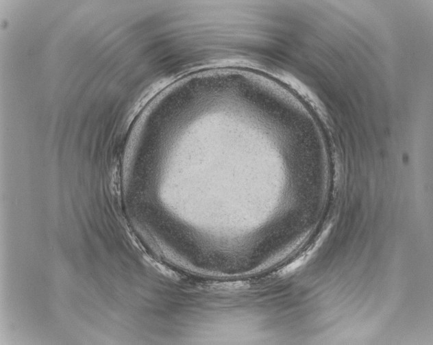 X0000070401001200607072239