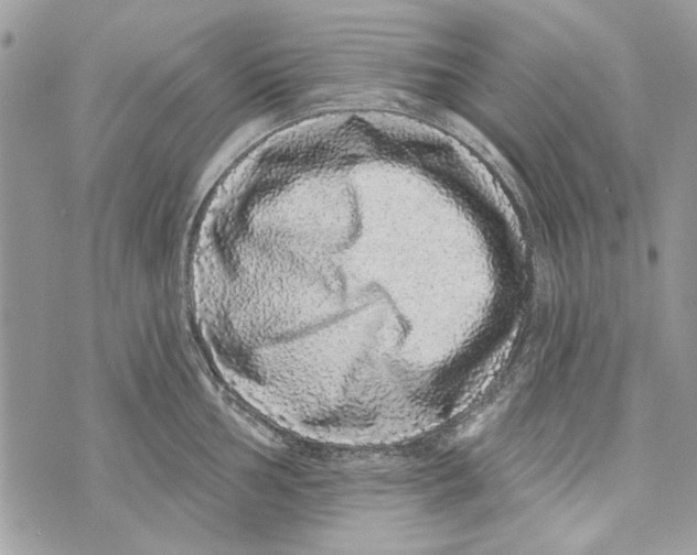 X0000070401002200607072239