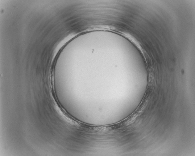 X0000070401003200607072239