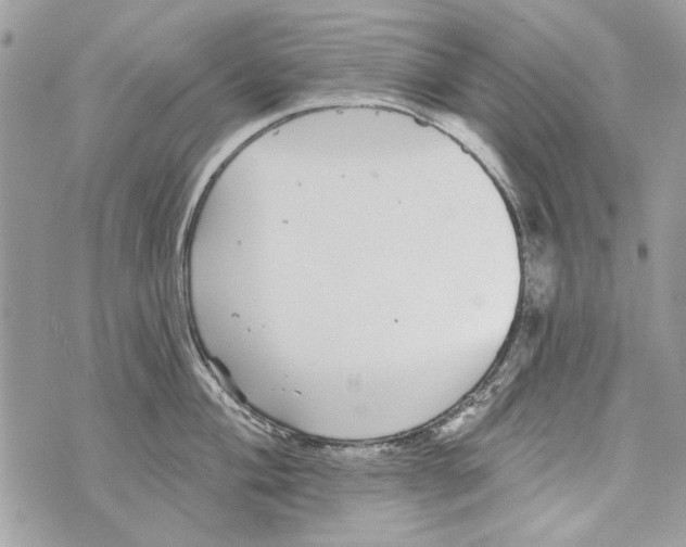 X0000070401004200607072239