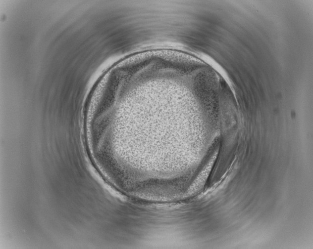 X0000070401005200607072239