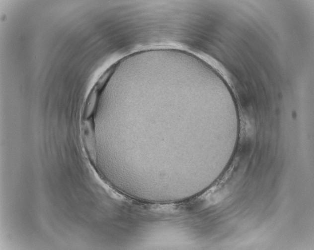 X0000070401006200607072239