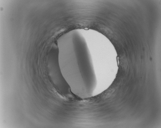 X0000070401009200607072239