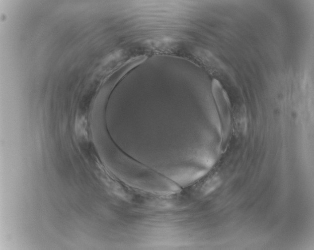 X0000070401010200607072239