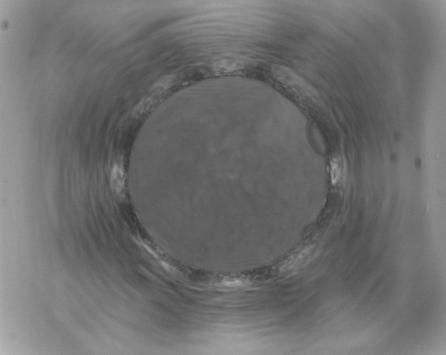 X0000070401011200607072239