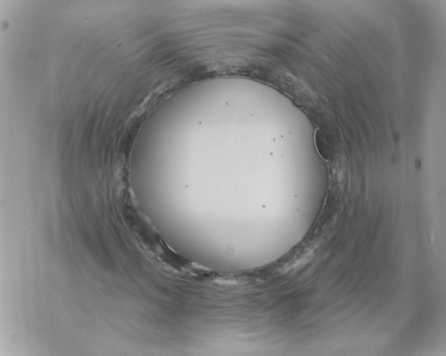 X0000070401012200607072239