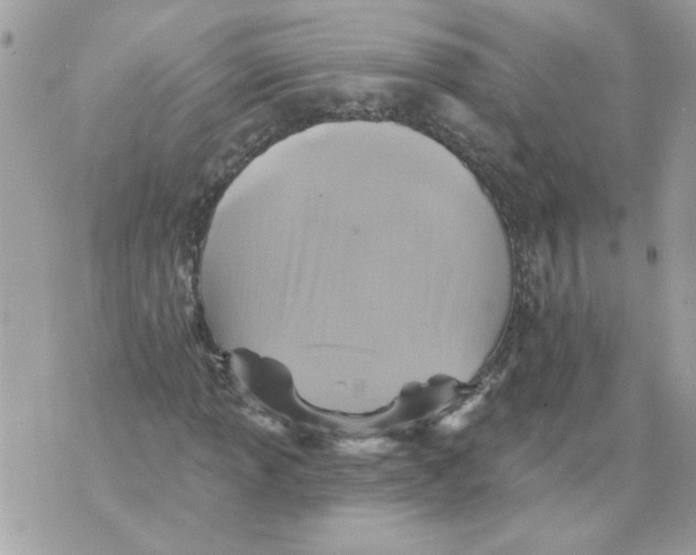 X0000070401013200607072239