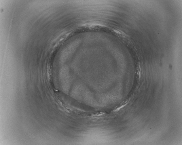 X0000070401014200607072239