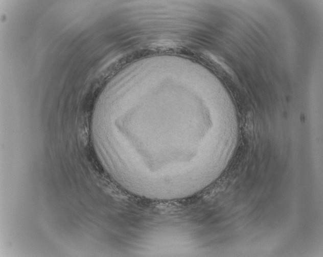 X0000070401015200607072239