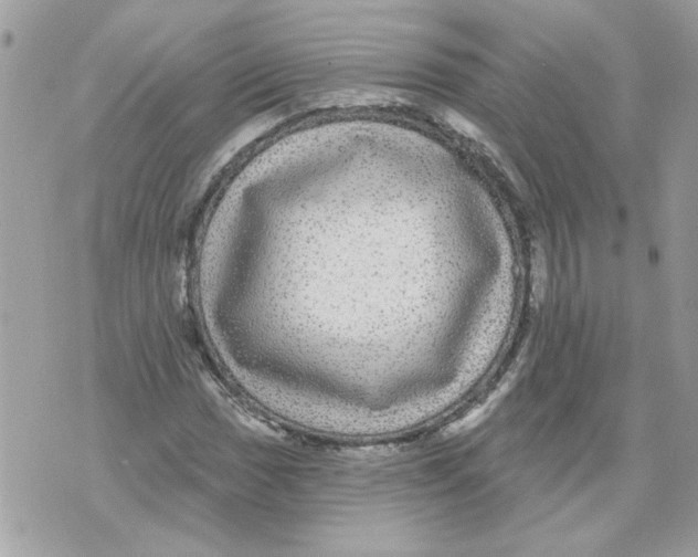 X0000070401017200607072239