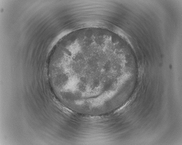 X0000070401019200607072239