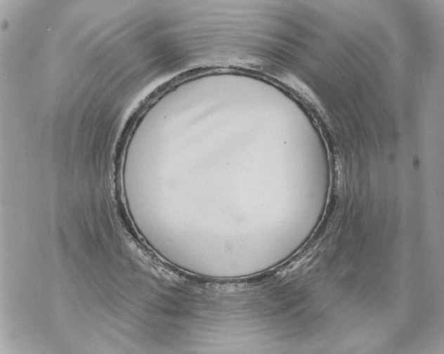 X0000070401020200607072239