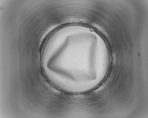 X0000070401021200607072239