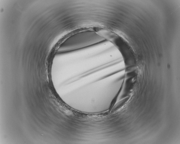 X0000070401022200607072239