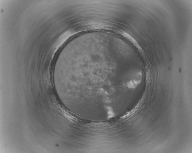 X0000070401023200607072239