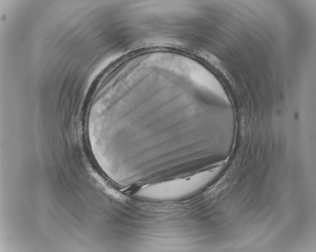 X0000070401024200607072239