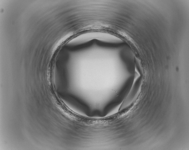 X0000070401026200607072239