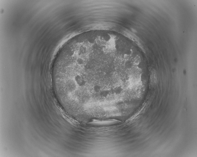 X0000070401027200607072239