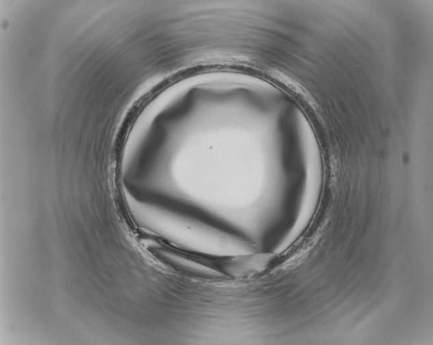 X0000070401029200607072239