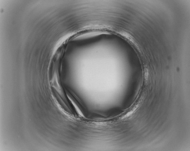 X0000070401030200607072239