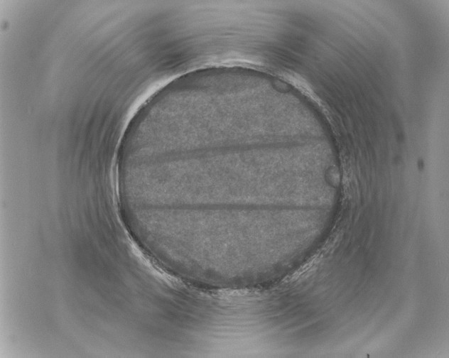 X0000070401032200607072239