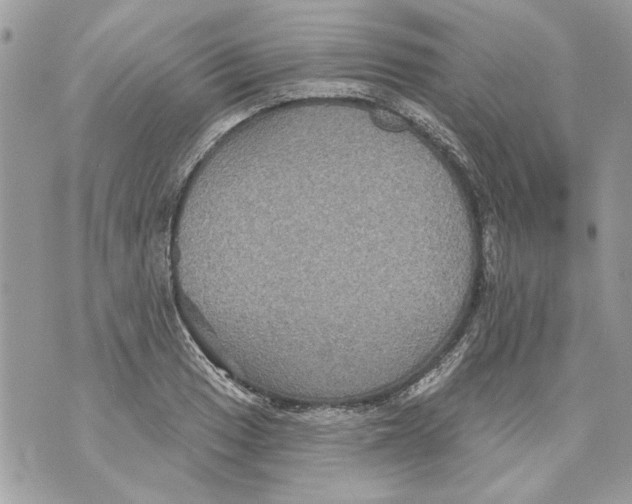 X0000070401033200607072239