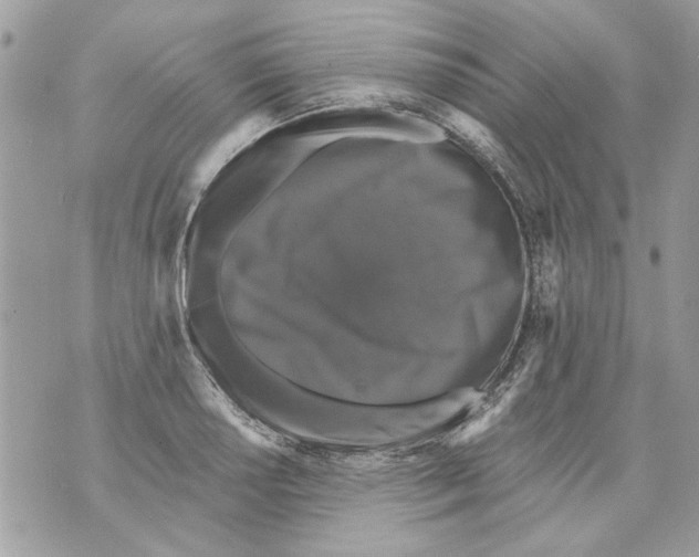 X0000070401034200607072239