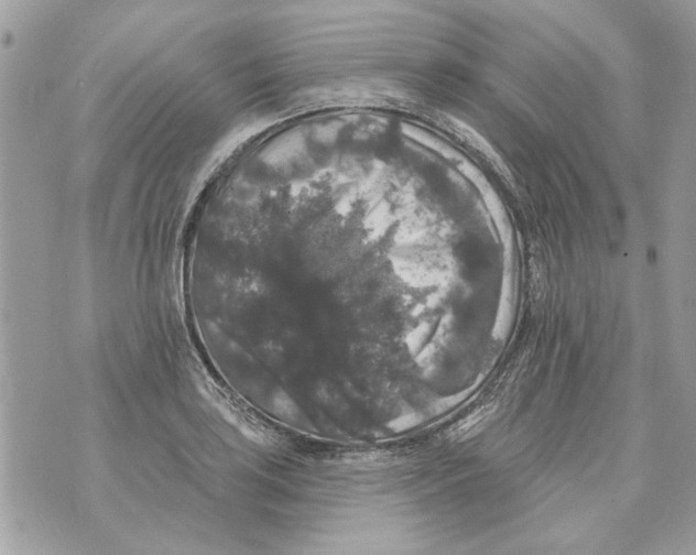 X0000070401035200607072239