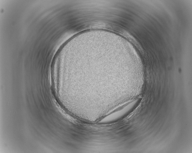 X0000070401036200607072239